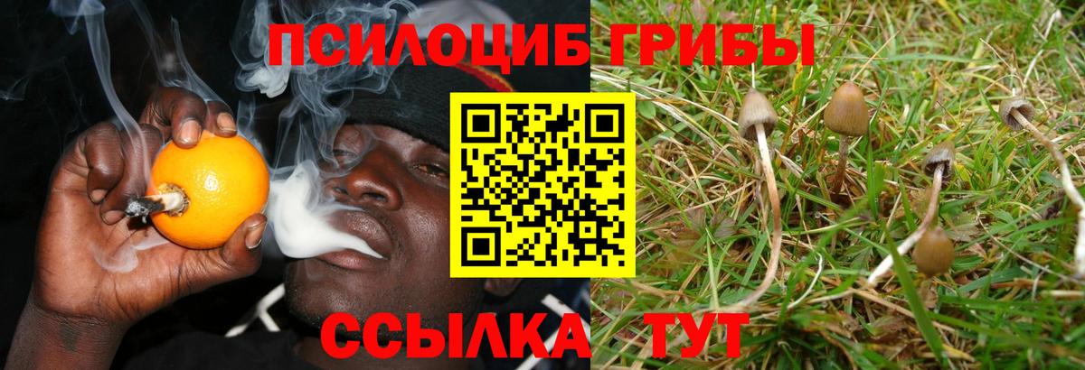 Галлюциногенные грибы Psilocybine cubensis  Вход с VPN  Иркутск 